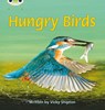 Bug Club Phonics - Phase 5 Unit 23: Hungry Birds - Vicky Shipton - 9780433019558