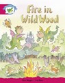 Literacy Edition Storyworlds Stage 5, Fantasy World, Fire in Wild Wood -  - 9780435140595