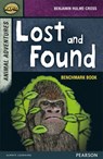 Rapid Stage 7 Assessment book: Lost and Found - Dee Reid ; Benjamin Hulme-Cross - 9780435152291