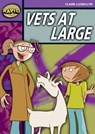 Rapid Reading: Vets at Large (Stage 1, Level 1B) - Claire Llewellyn - 9780435910228