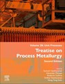 Treatise on Process Metallurgy, Volume 2b: Unit Processes - Seshadri Seetharaman - 9780443402944