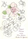 Original Drawings Including Roses, Lavatera, Acanthus and Hypericum - Dandi Palmer - 9780463019870