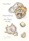 Original Drawings of Fruit, Foxgloves and Shells - Dandi Palmer - 9780463046395