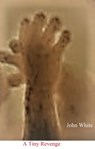 A Tiny Revenge - John White - 9780463485262