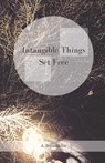 Intangible Things Set Free - Ananda Tapasiddha - 9780473498047