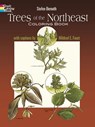 Trees of the Northeast Coloring Book - BERNATH,  Stefen - 9780486237343