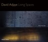 David Adjaye - Peter Allison - 9780500343258