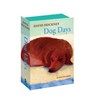David Hockney Dog Days: Notecards -  - 9780500420751