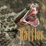 Rattler - Mary Batten - 9780515156997