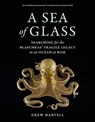 A Sea of Glass - Drew Harvell - 9780520303577