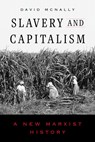 Slavery and Capitalism - David McNally - 9780520415973