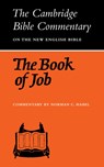 The Book of Job - Norman C. Habel - 9780521099431