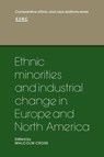 Ethnic Minorities and Industrial Change in Europe and North America - Malcolm Cross - 9780521129688