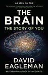 The Brain - David Eagleman - 9780525433446