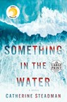 Something in the Water: Reese's Book Club: A Novel - Catherine Steadman - 9780525632924