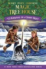 Narwhal on a Sunny Night - Mary Pope Osborne ; AG Ford - 9780525648390
