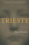 Trieste - Dasa Drndic - 9780544538504