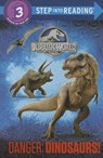 Danger - CARBONE,  Courtney - 9780553536881