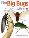 Big Bugs Life-Size - George Beccaloni - 9780565092139