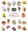 Interesting Shells - Andreia Salvador - 9780565095109