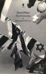 Via Dolorosa - David Hare - 9780571197521