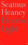 Electric Light - Seamus Heaney - 9780571207985