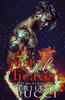 Just like Heaven - Trilina S Pucci - 9780578989174