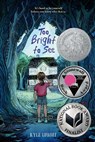 Too Bright to See - Kyle Lukoff - 9780593111178