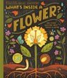 What's Inside A Flower? - Rachel Ignotofsky - 9780593176474