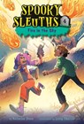 Spooky Sleuths #4: Fire in the Sky - Natasha Deen - 9780593488980