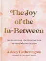 The Joy of the In-Between - Ashley Hetherington - 9780593600696