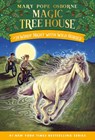 Windy Night with Wild Horses - Mary Pope Osborne ; A.G. Ford - 9780593706503