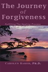 The Journey of Forgiveness - Carolyn Baker - 9780595159413