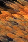 The Butterflies and the Burnings - Anne Blonstein - 9780615185798