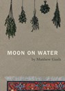 Moon on Water - Matthew Gasda - 9780615870625