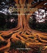 We are the Champions - LIEBENBERG,  Enrico - 9780620652261