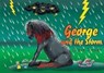 George and the Storm - Claire Tucker - 9780620871921