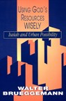 Using God's Resources Wisely - BRUEGGEMANN,  Walter - 9780664254605