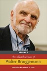 The Collected Sermons of Walter Brueggemann - Walter Brueggemann - 9780664260415