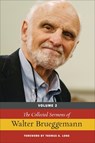 The Collected Sermons of Walter Brueggemann, Volume 2 - Walter Brueggemann - 9780664261160