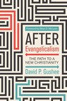 After Evangelicalism - David P. Gushee - 9780664266110
