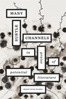 Many Subtle Channels - Daniel Levin Becker - 9780674065772