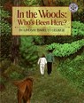In the Woods - Lindsay Barrett George - 9780688161637