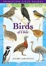 Birds of Chile - Alvaro Jaramillo - 9780691117409