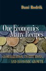 One Economics, Many Recipes - Dani Rodrik - 9780691141176