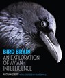 Bird Brain - Nathan Emery - 9780691165172