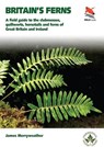 Ferns - James Merryweather - 9780691180397