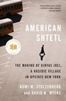 American Shtetl - Nomi M. Stolzenberg ; David N. Myers - 9780691259291