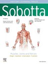Sobotta Learning Tables of Muscles, Joints and Nerves, English/Latin - Friedrich Paulsen ;  Jens Waschke - 9780702067686