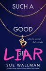 Such a Good Liar - Sue Wallman - 9780702313387